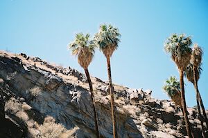 East of Los Angeles